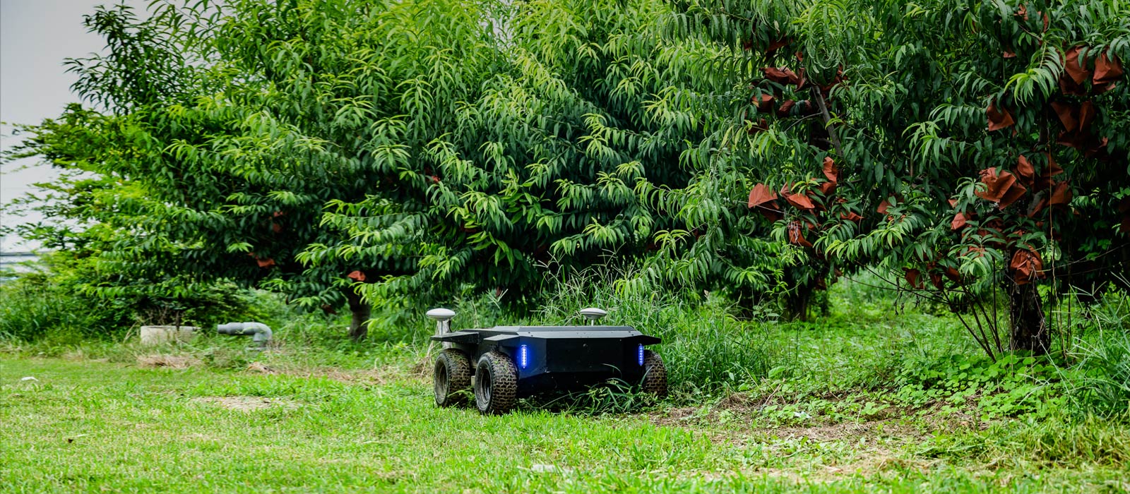 Cenozoic R1 Smart Lawn Mower